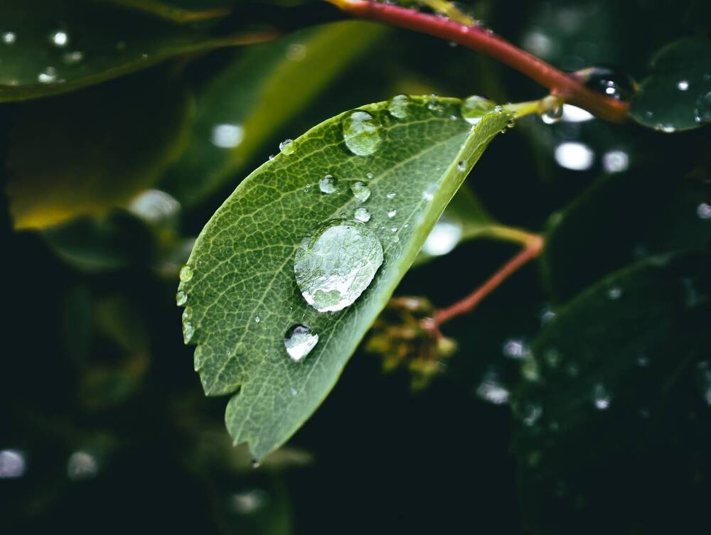 Photograph by Евгений Порсов