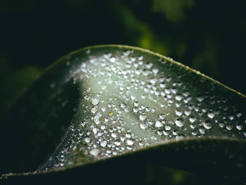 Photograph by Евгений Порсов