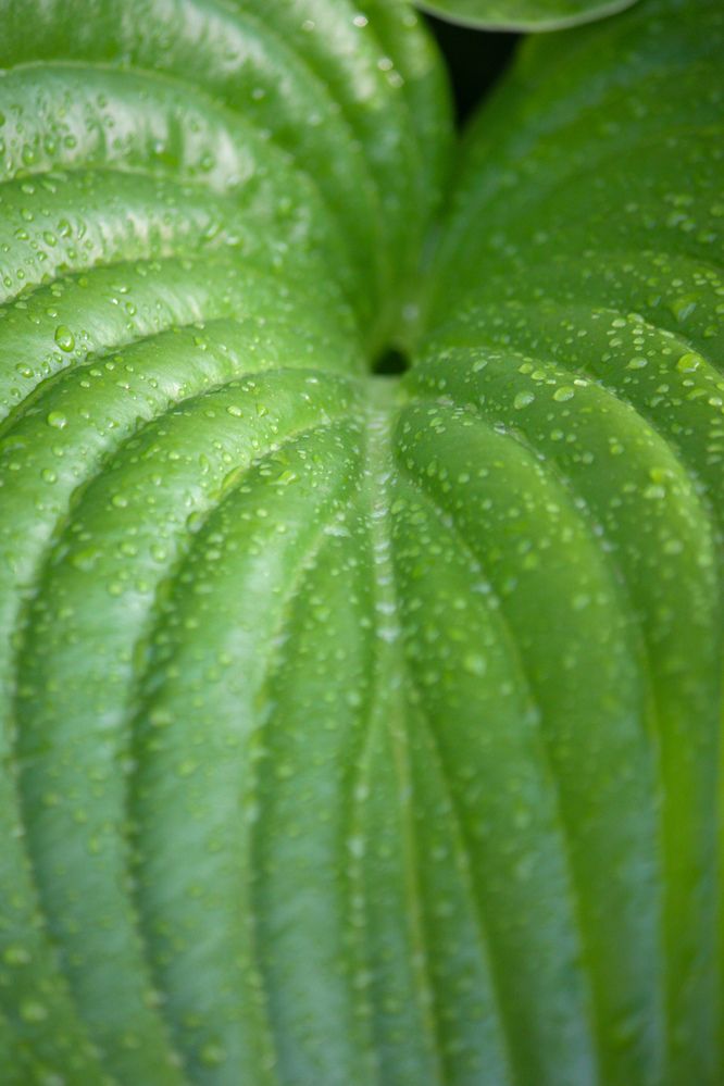 Photograph by Титова Наталья