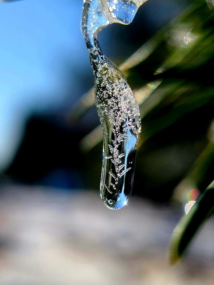 Photograph by Егор Жук