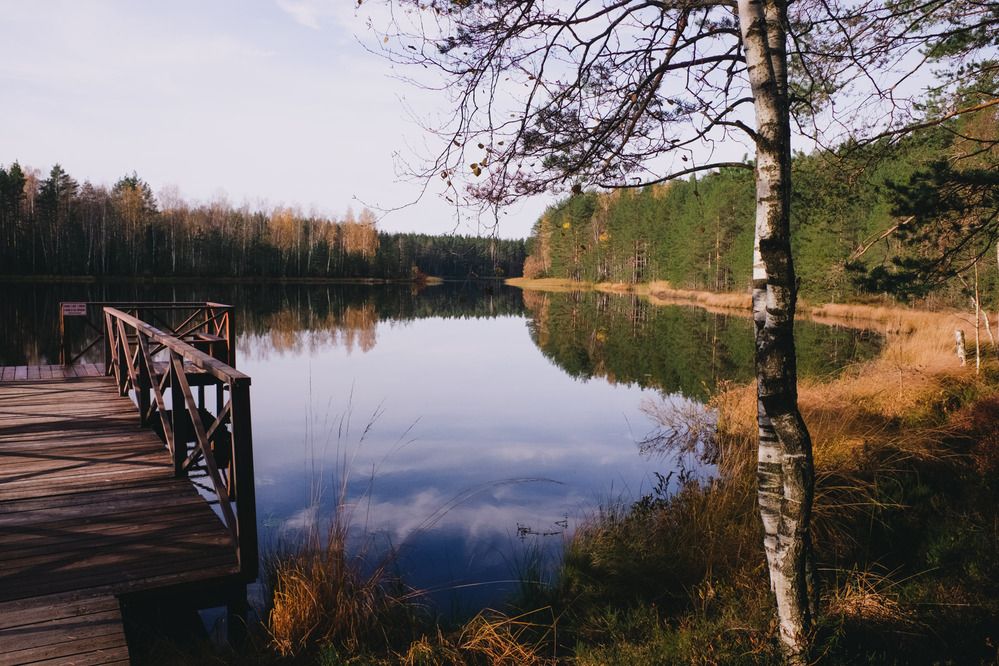 Photograph by Misha Khazov