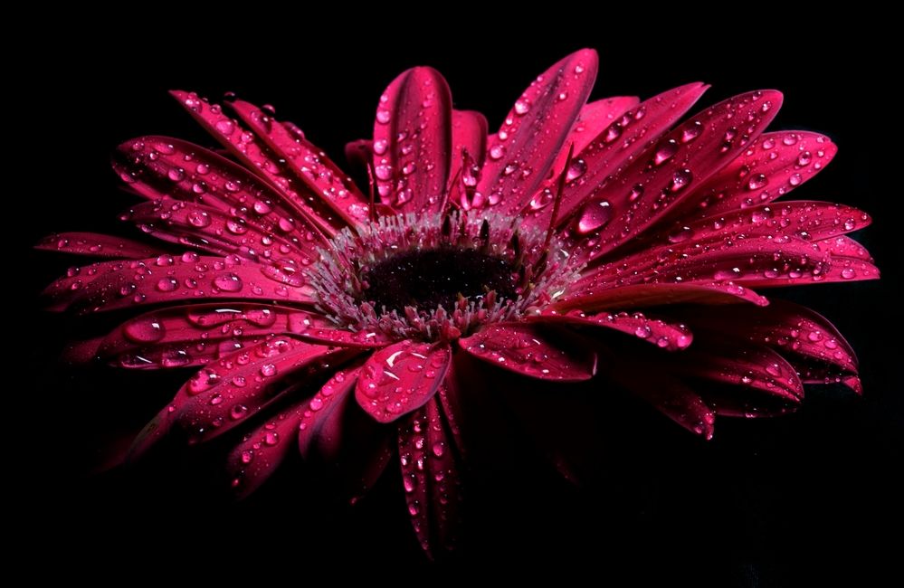 Photograph by Natalia Bondarenko