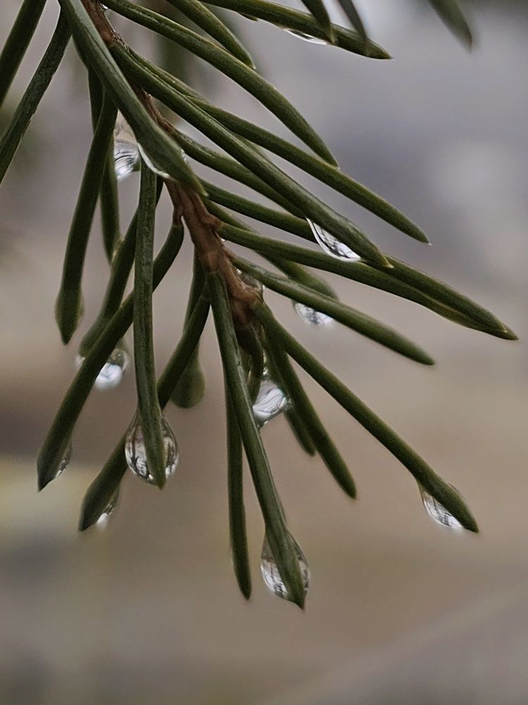 Photograph by Татьяна Небрат