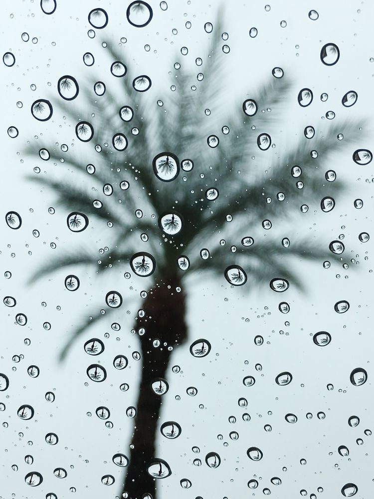 Photograph by Anferow Lana