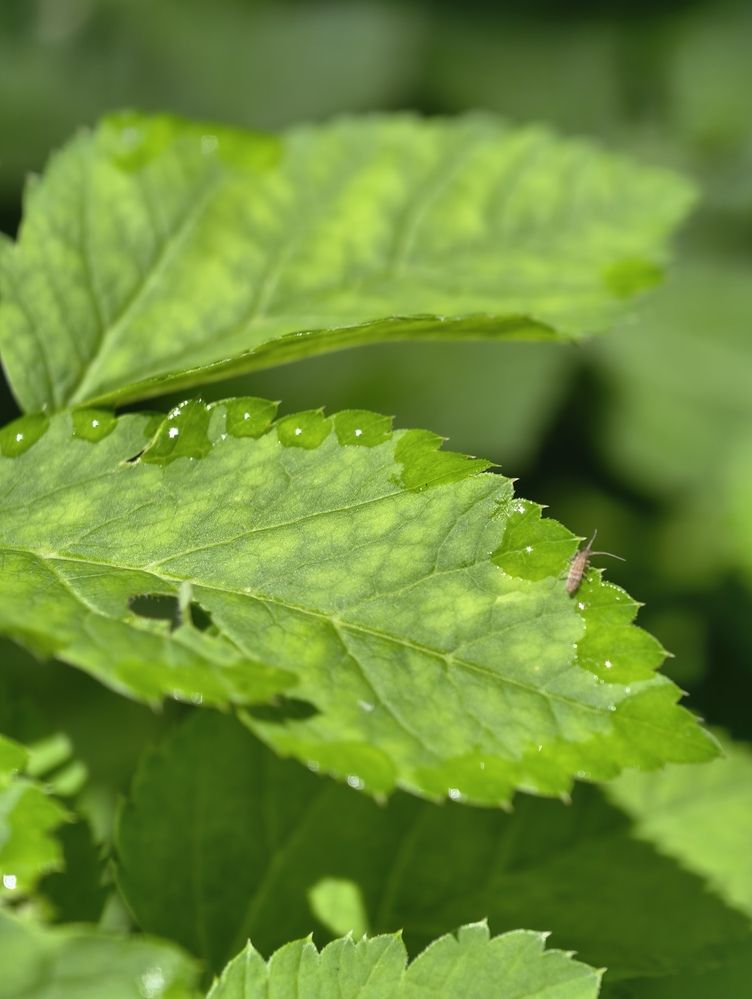 Photograph by Галина Бессуднова