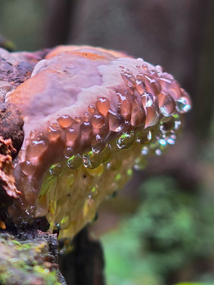 Photograph by Ирина Хлебникова