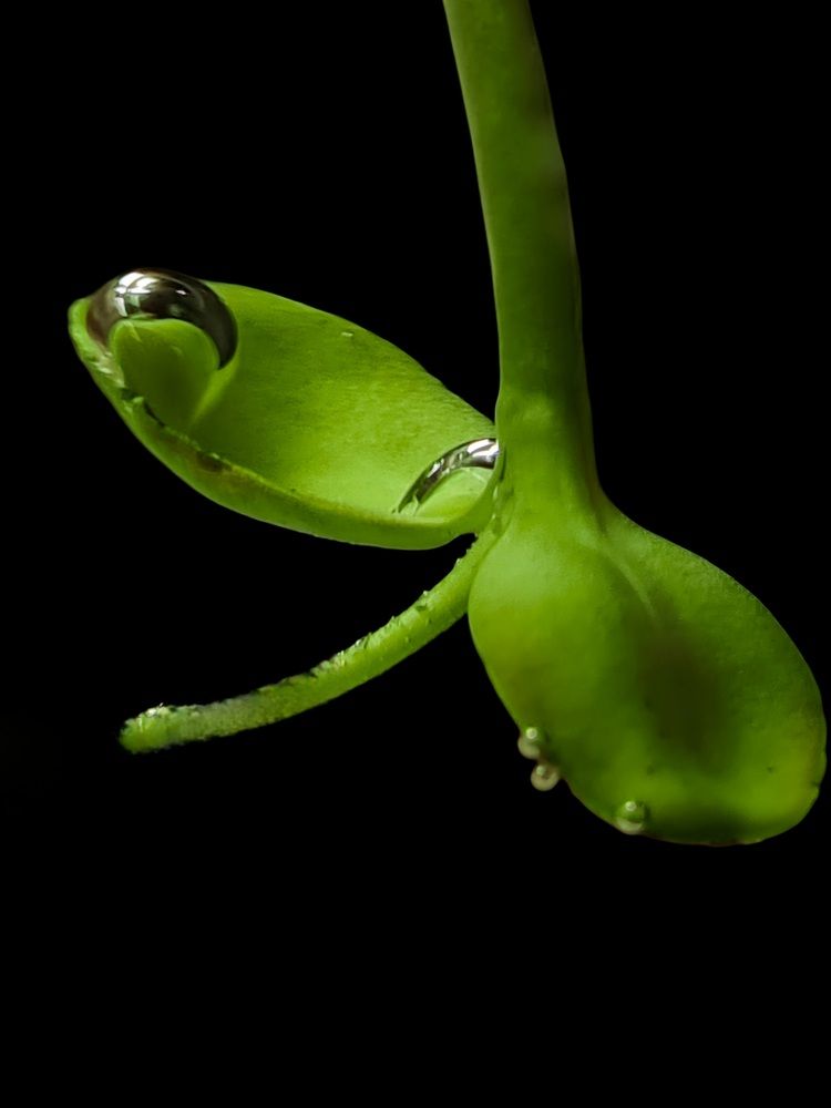 Photograph by Ирина Хлебникова