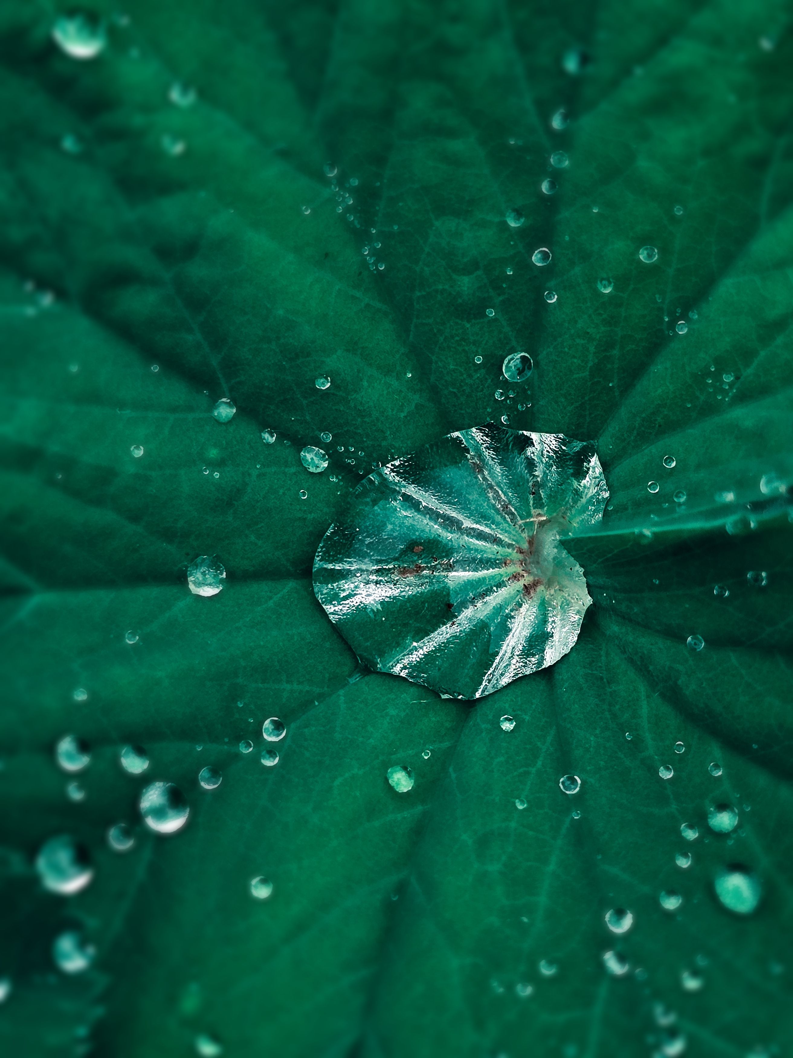 Photograph by Ирина Хлебникова