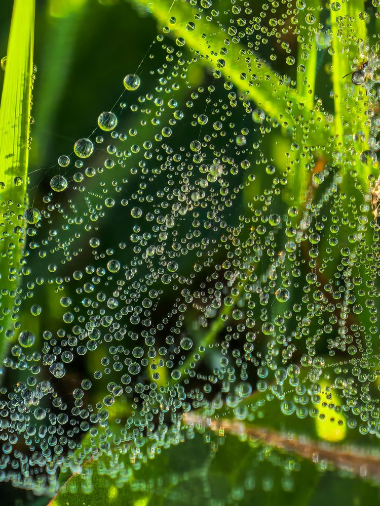 Photograph by Сергей Игнатьев