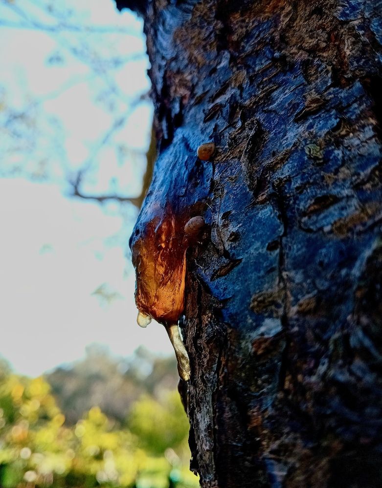 Photograph by Eleni Christogianni