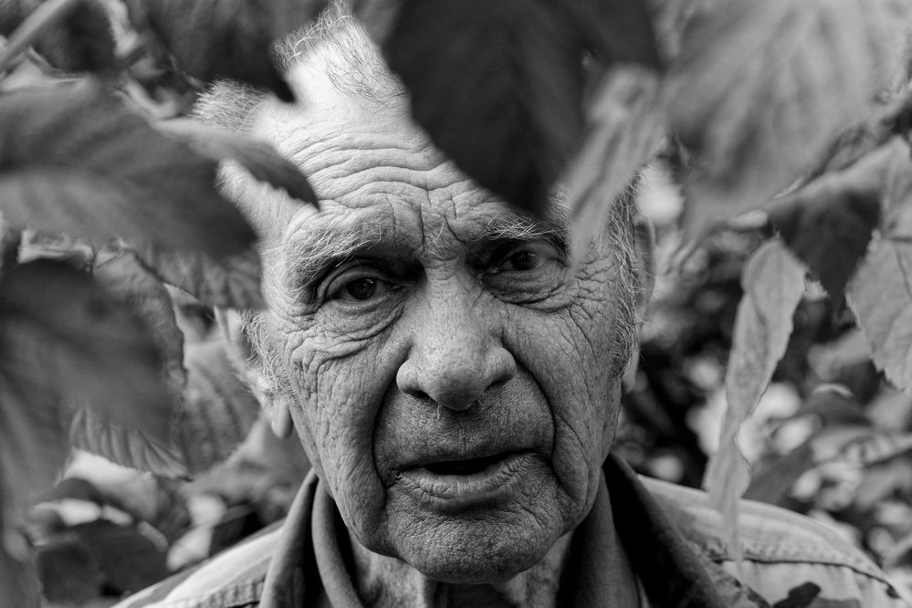 Photograph by Денис Горелов