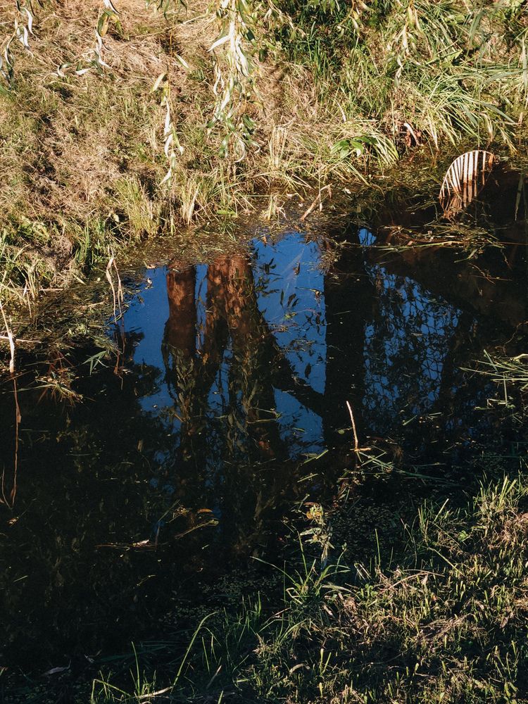 Photograph by Кристина Альшанская