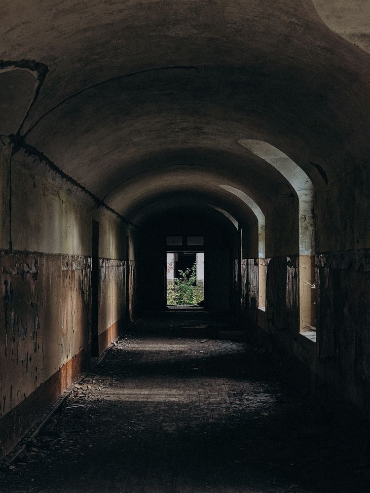 Фотография автора Кристина Альшанская