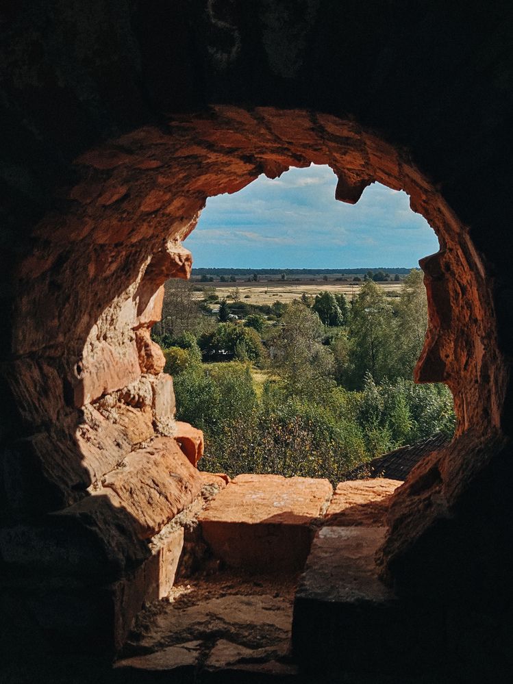Фотография автора Кристина Альшанская