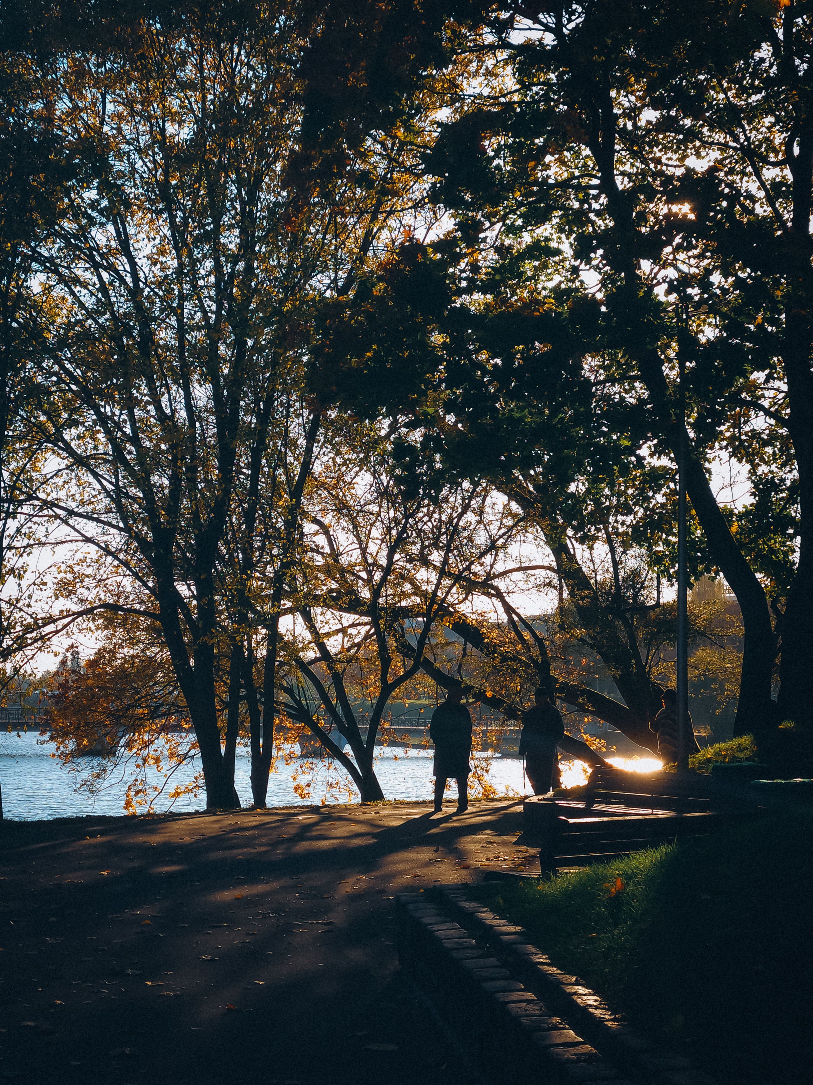 Photograph by Кристина Альшанская