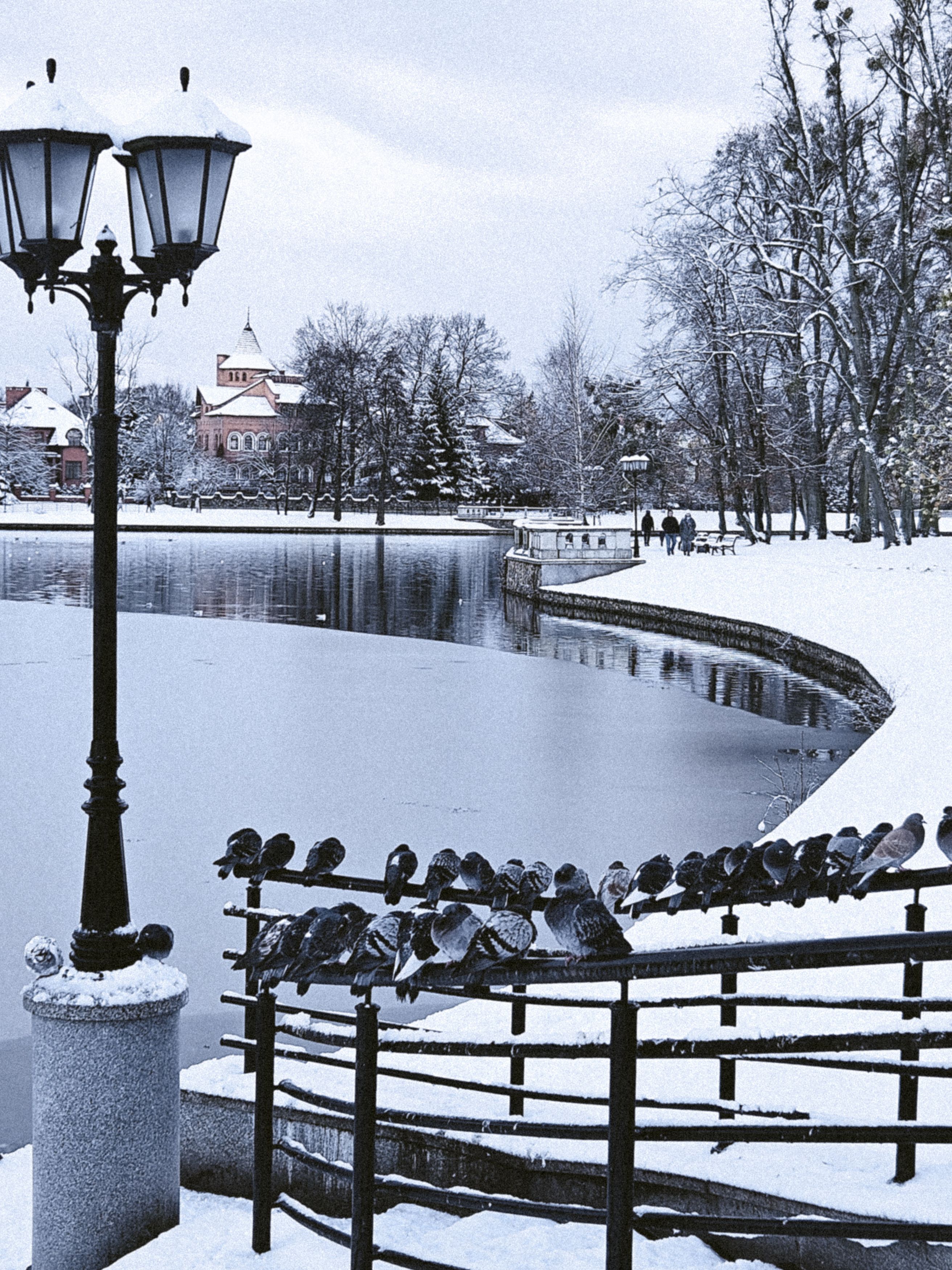 Photograph by Кристина Альшанская