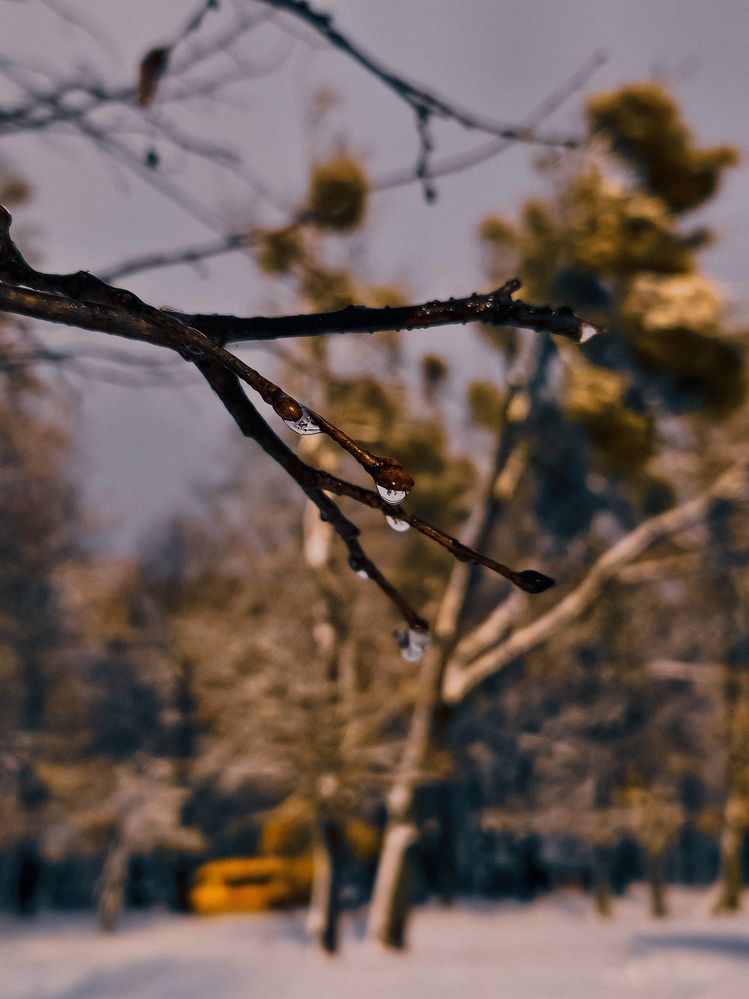 Photograph by Кристина Альшанская