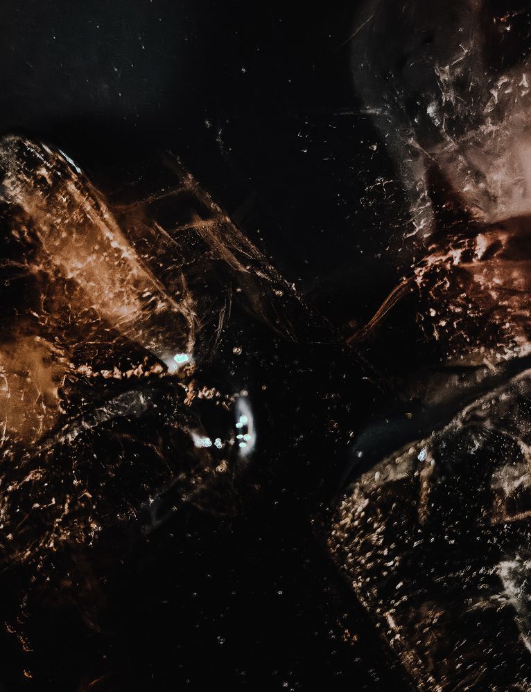 Photograph by Кристина Альшанская