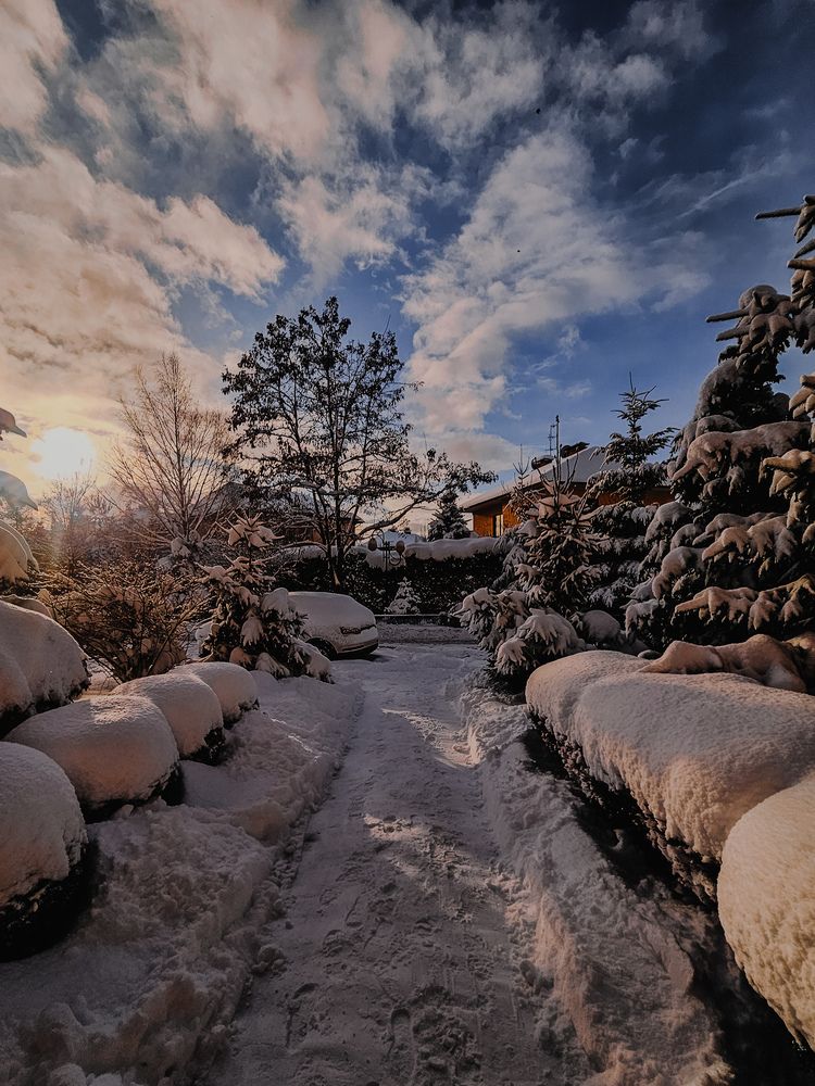 Photograph by Кристина Альшанская