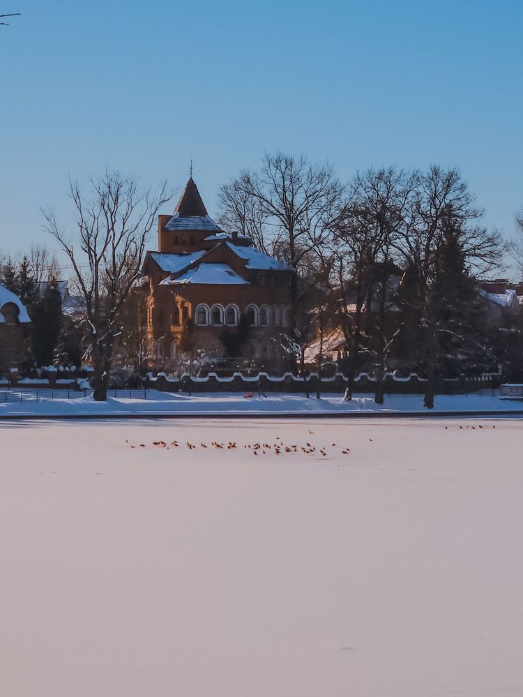 Photograph by Кристина Альшанская