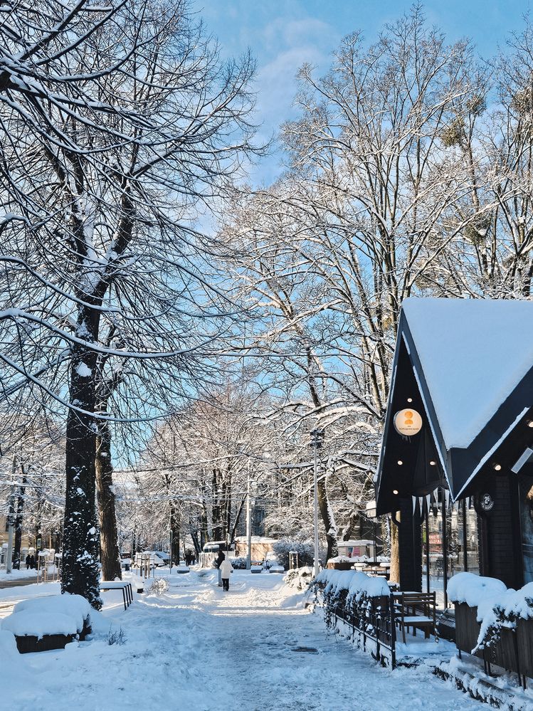 Photograph by Кристина Альшанская