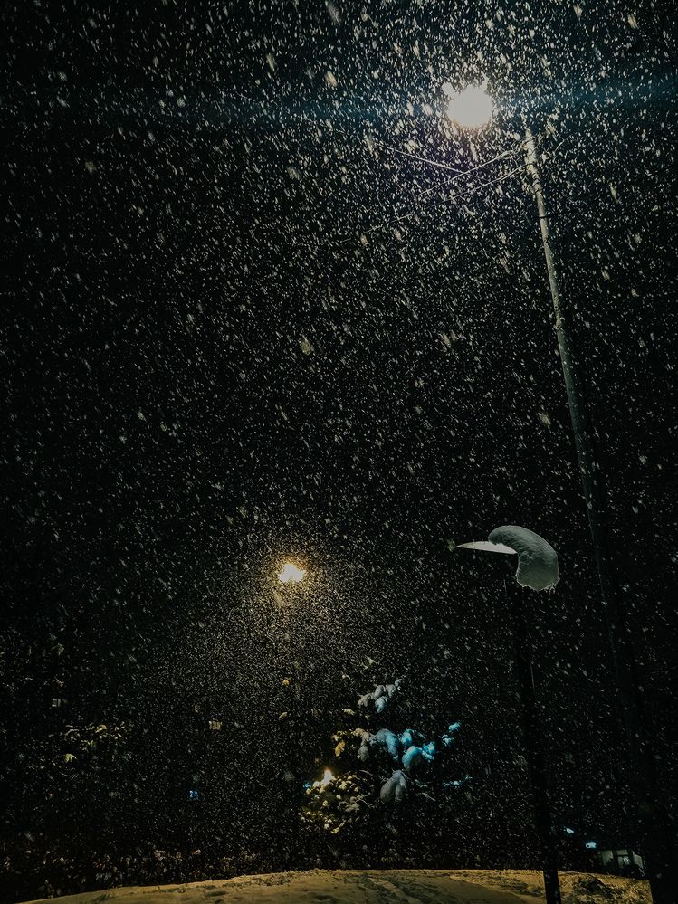 Фотография автора Кристина Альшанская