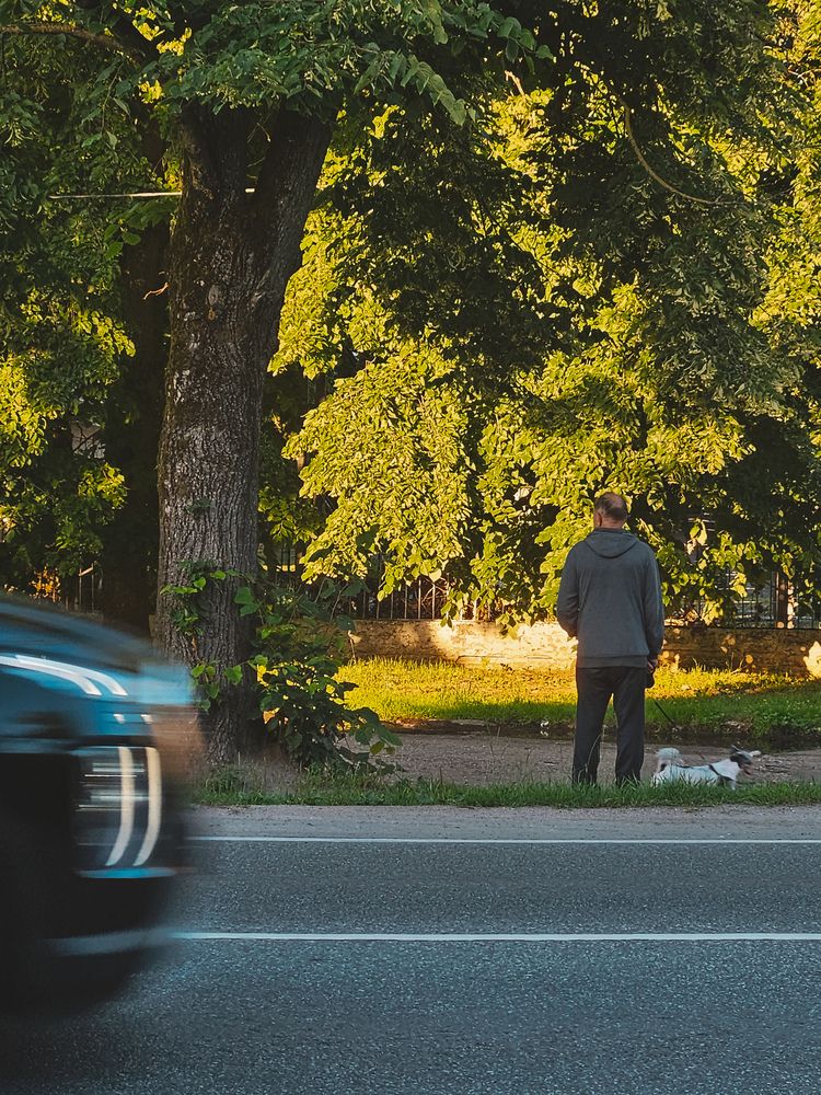 Photograph by Кристина Альшанская