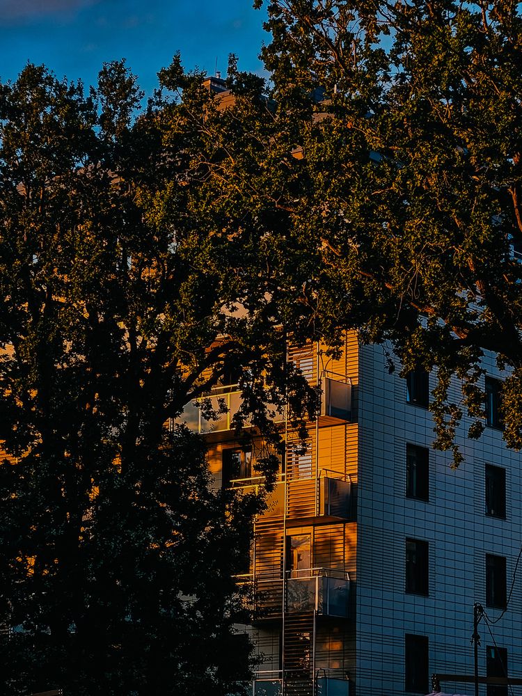 Photograph by Кристина Альшанская