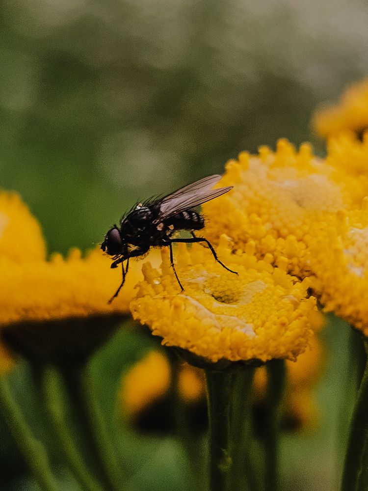 Photograph by Кристина Альшанская