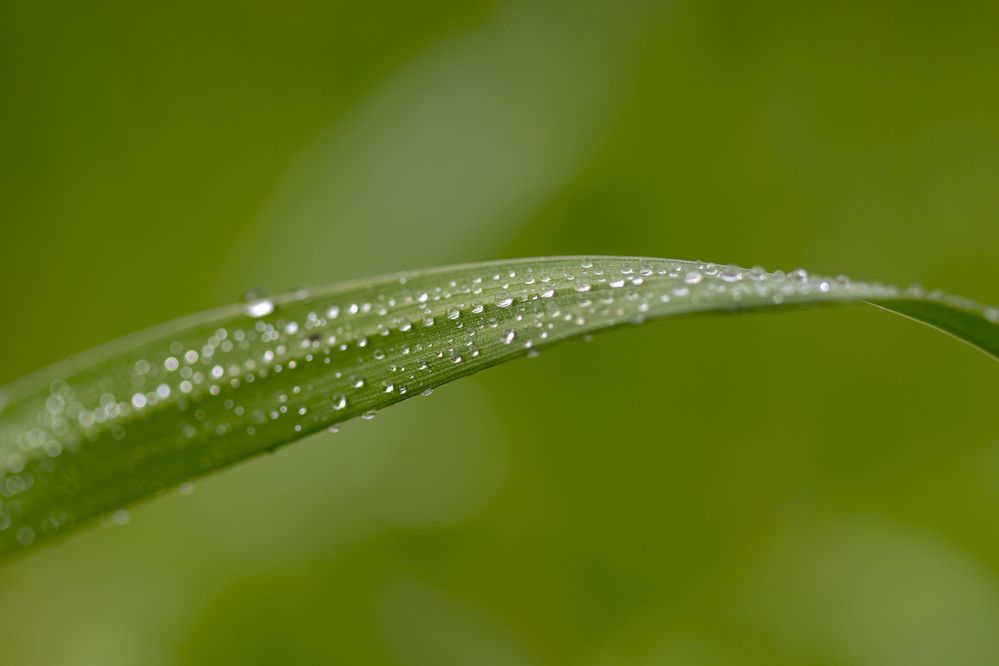 Фотография автора Nikolay Tatarchuk