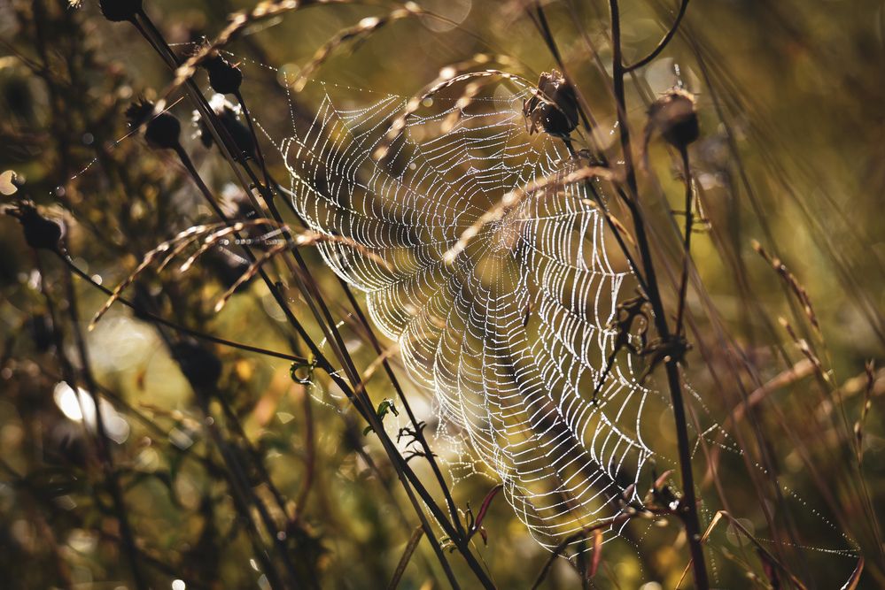 Photograph by Ljudmilla Pavljutsenkova