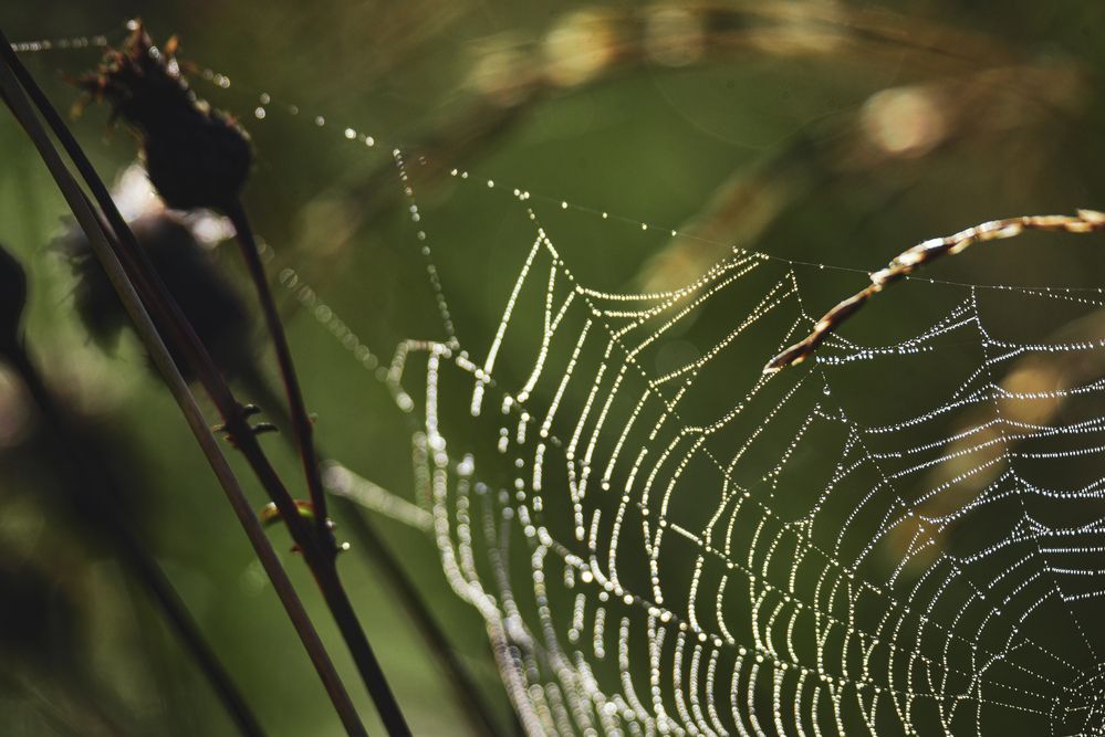 Photograph by Ljudmilla Pavljutsenkova