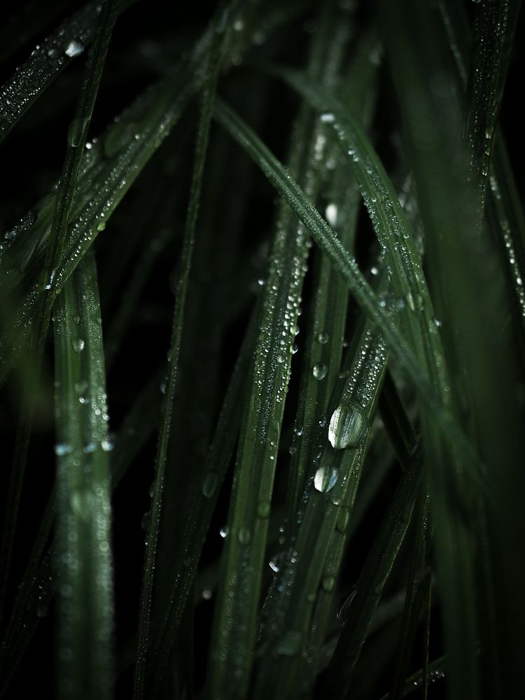 Photograph by Александра Шилова