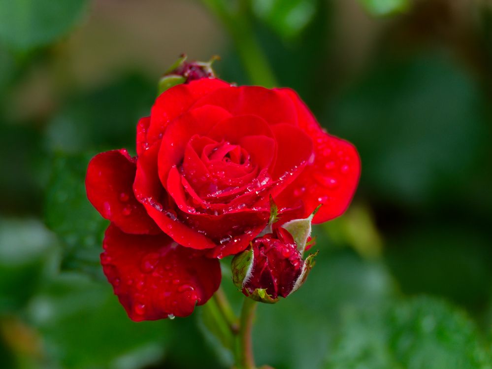 Photograph by Денис Горелов