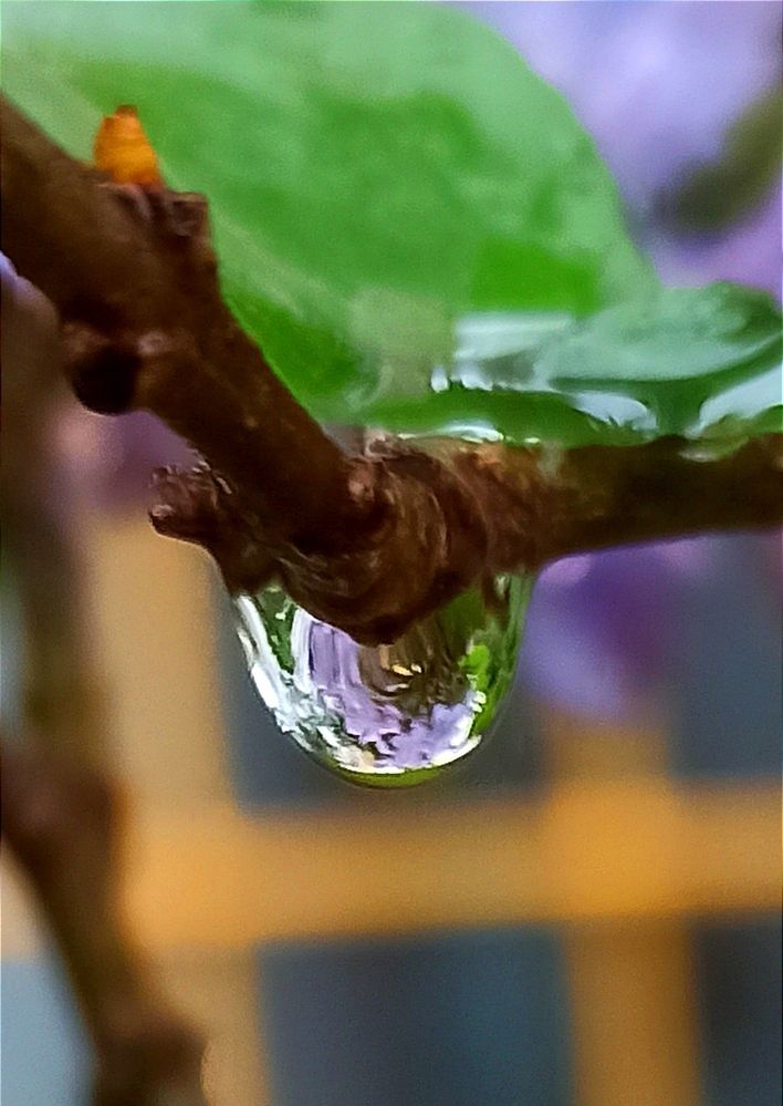 Photograph by Ольга Тихонова