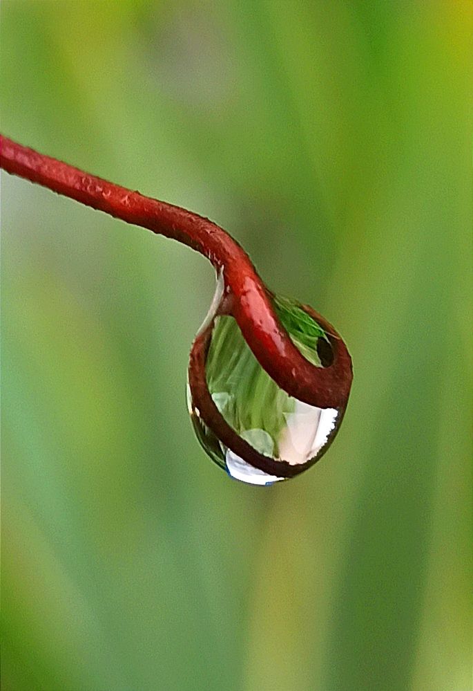 Photograph by Ольга Тихонова