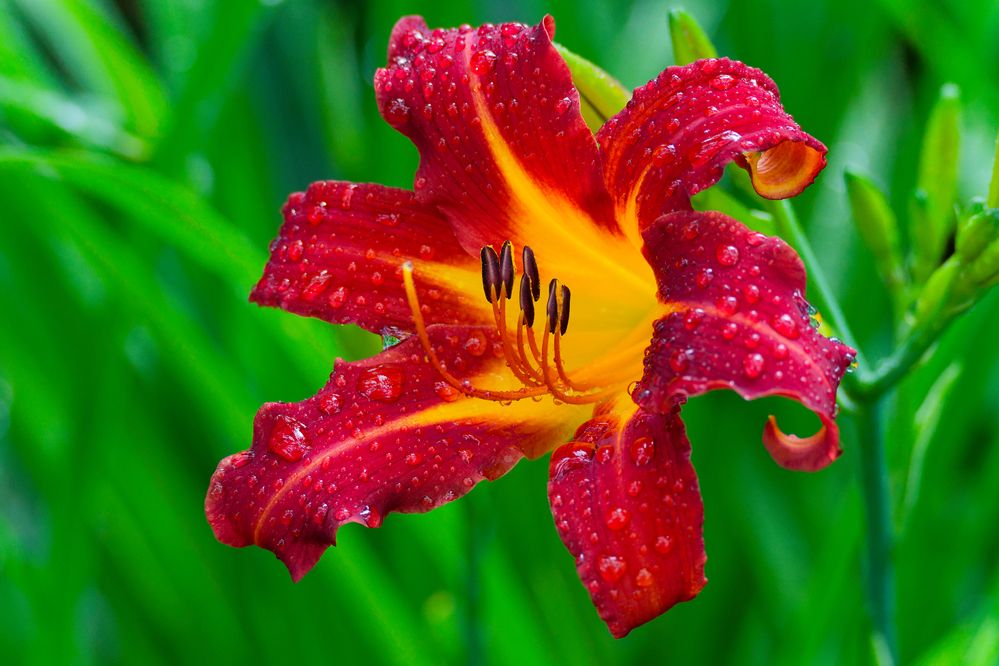 Photograph by Денис Горелов