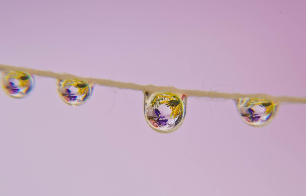 Фотография автора Юлия Кранина