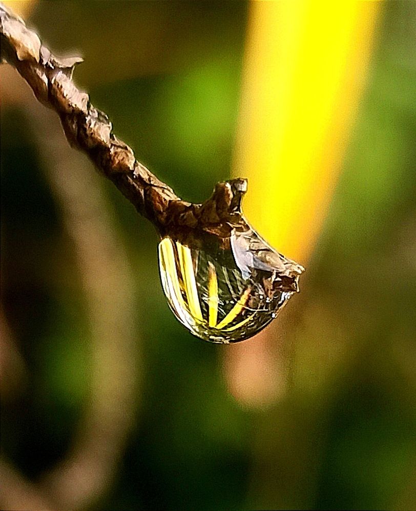 Photograph by Ольга Тихонова