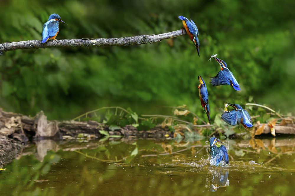 Photograph by Sara Jazbar