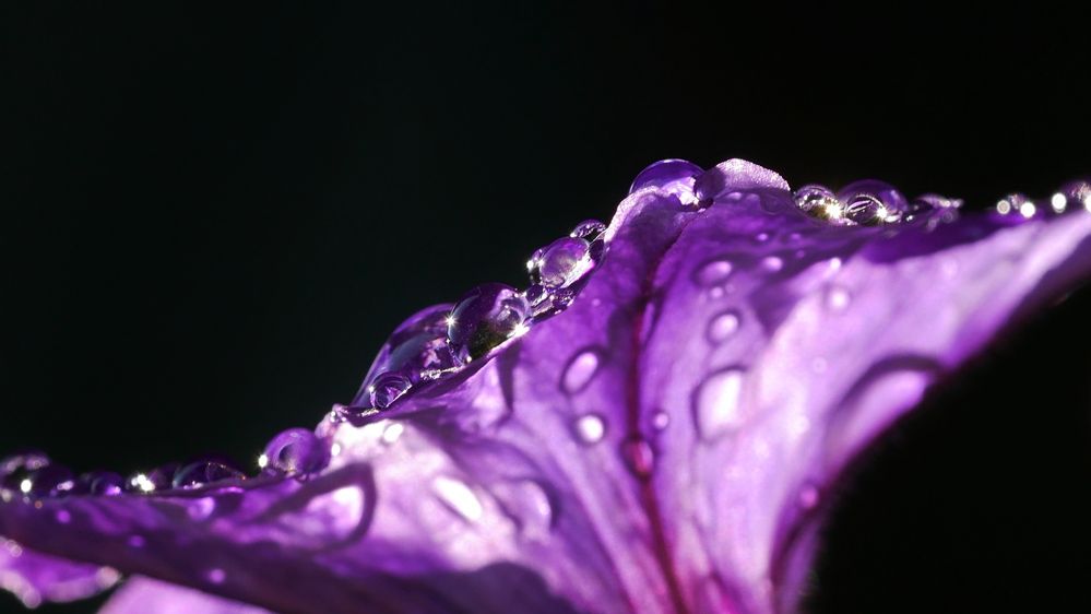 Photograph by Владимир Лобанов