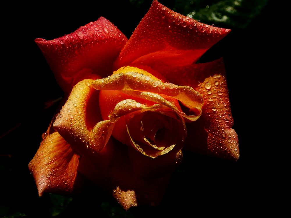 Photograph by Владимир Лобанов