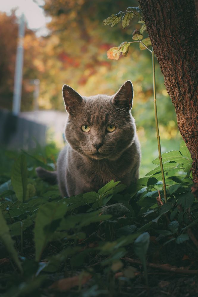 Photo #12578776