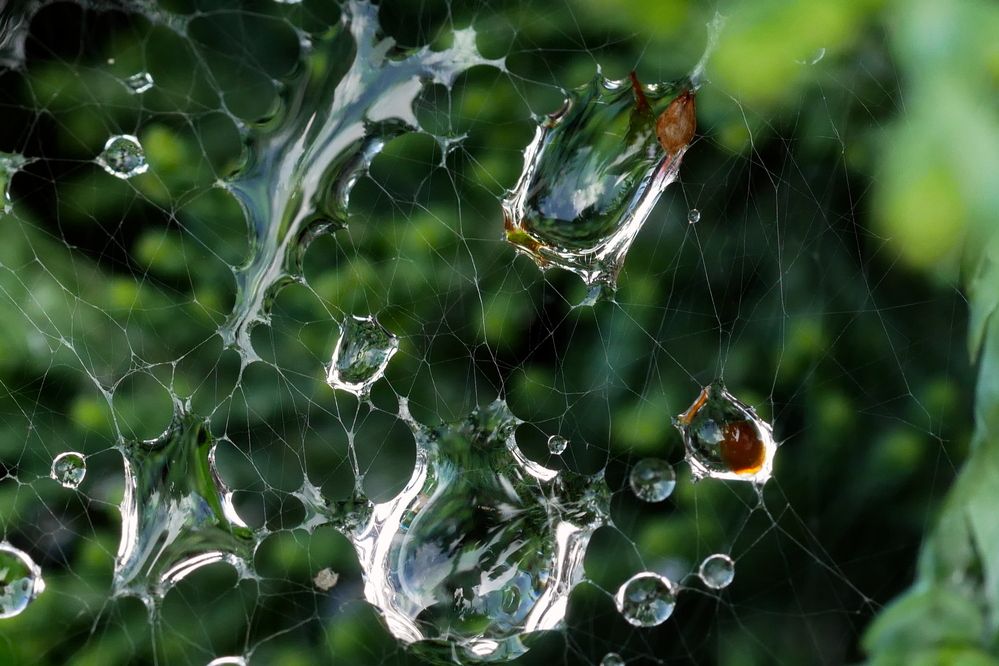 Photograph by Владимир Лобанов