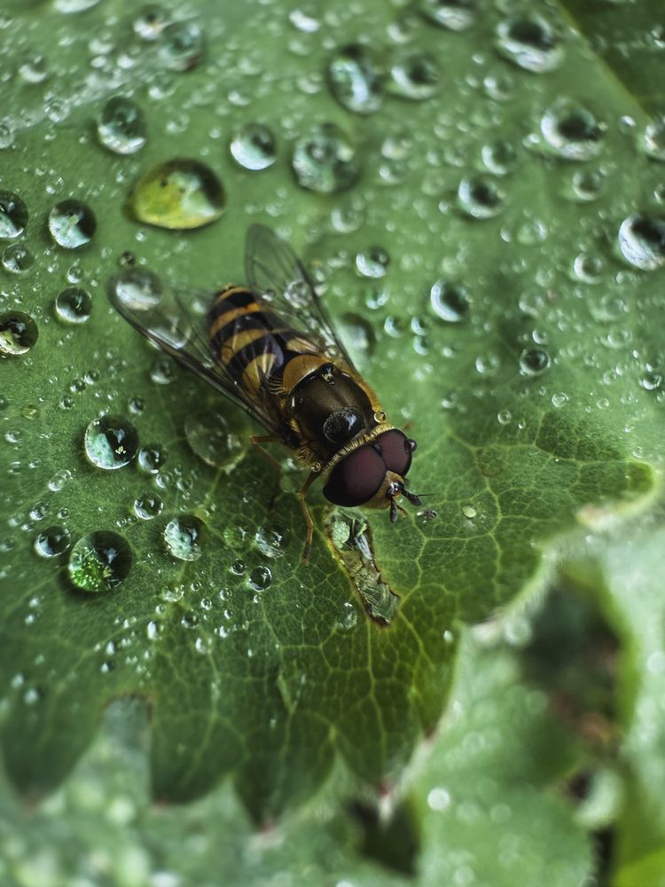 Photograph by Елена Чулюнина