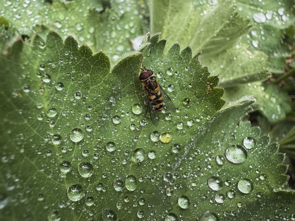 Photograph by Елена Чулюнина