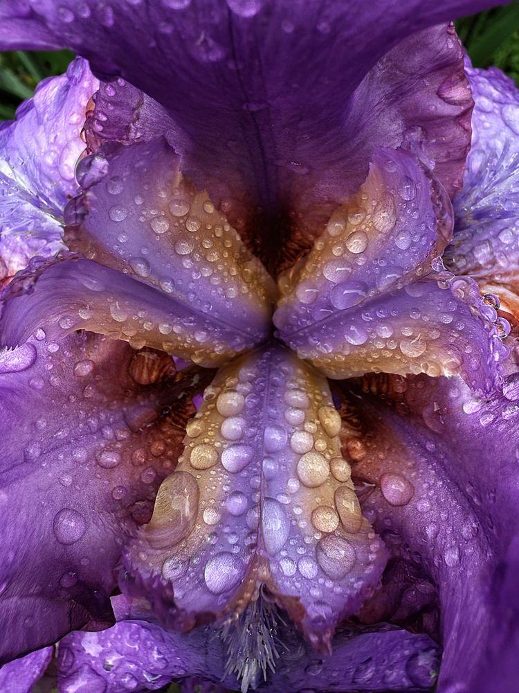 Photograph by Елена Чулюнина