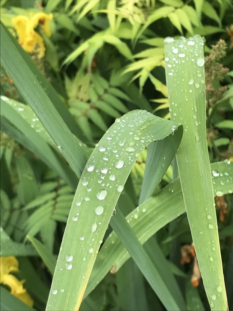 Photograph by Татьяна Гуськова