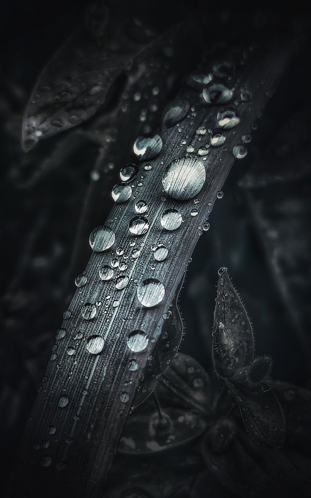 Photograph by Литвинова Галина