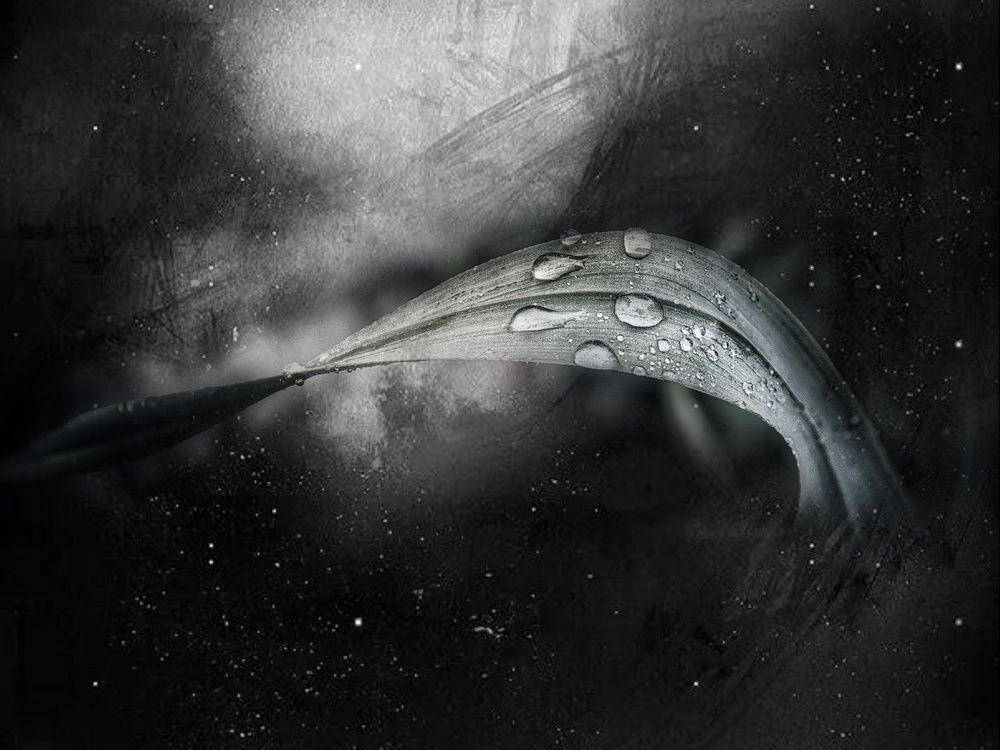 Photograph by Литвинова Галина